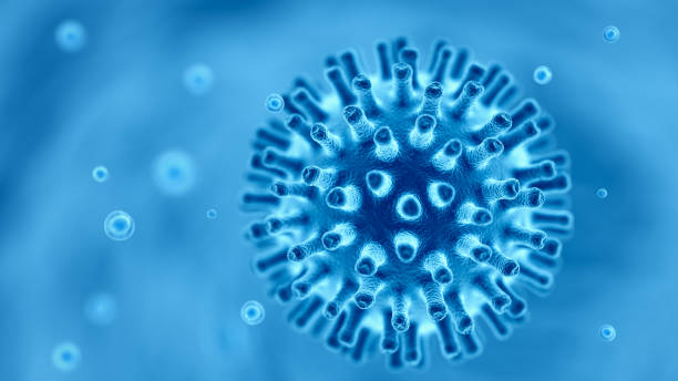 latest coronavirus news - coronavirus cases on japan cruise ship